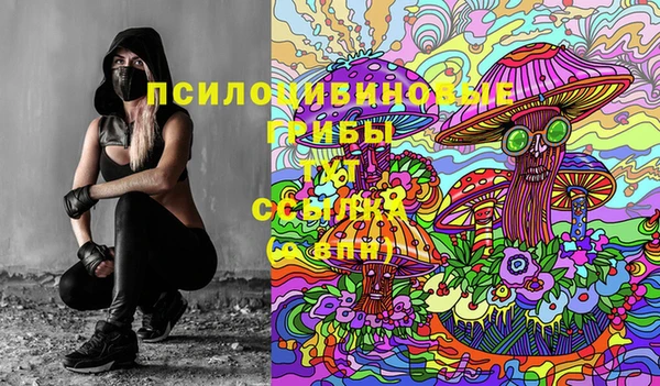 бутират Горно-Алтайск