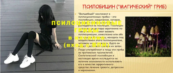 MESCALINE Горнозаводск