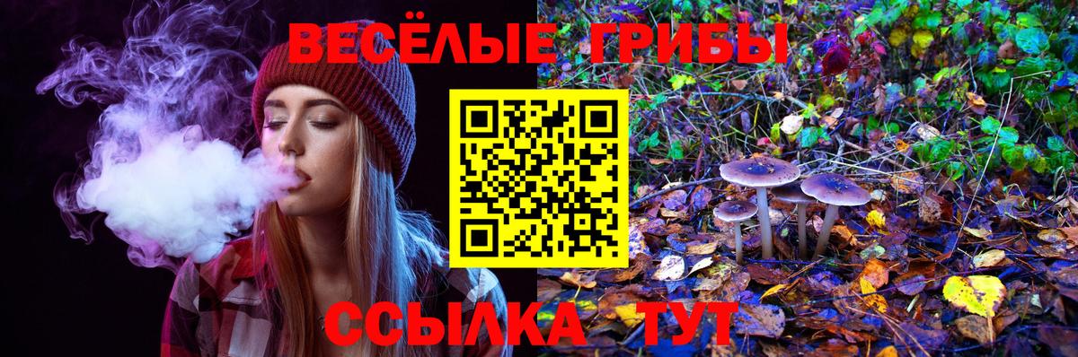Псилоцибиновые грибы GOLDEN TEACHER  Вход с VPN  Еманжелинск 