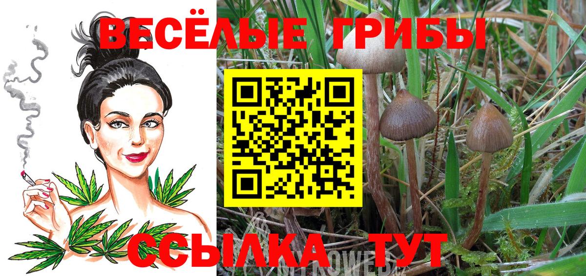 Псилоцибиновые грибы прущие грибы Еманжелинск